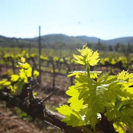 Agriturismo Ristorante Monte Argentario Farm stay