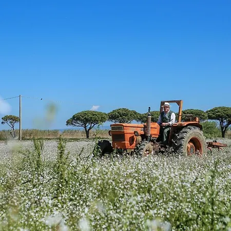 Farm stay Agriturismo Ristorante Monte Argentario Monte Argentario