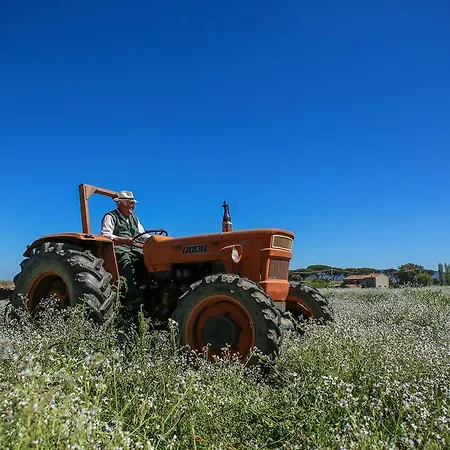 Farm stay Agriturismo Ristorante Monte Argentario Monte Argentario